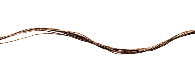 A wavy, brown, textured stick or rod, appearing almost segmented