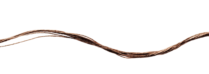 A wavy, brown, textured stick or rod, appearing almost segmented
