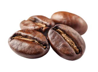 Close-up of roasted coffee beans.  Dark brown beans, full of texture.  Focus on the details of the bean surfaces, showing the interior lines