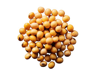 Close-up view of a pile of raw yellow soybeans isolated on a black background in high detail