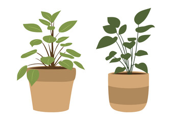 Flat illustration of two potted houseplants with fresh green leaves, simple decorative style, perfect for interior design, nature concepts, and modern graphic projects.