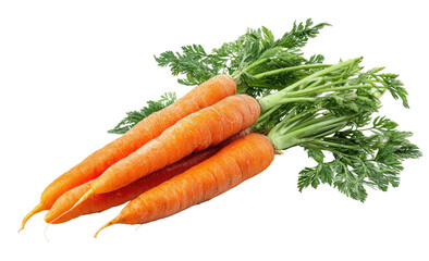 Fresh carrots with vibrant green leaves (1)