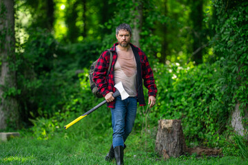Lumberjack in plaid shirt with jeans carry large axe in summer wood. Manual Work. Natural environment. Lumberjack with an axe in forest. Hard working man. Brutal bearded man with an axe or hatchet.