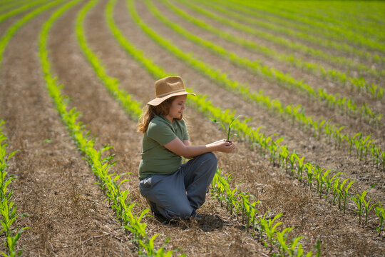 Eco farm. Child in eco-friendly corn field. Farming in green ecosystem. Eco farming concept. Organic farm land with child. Environment eco concept. Child farming. Kids hands caring environment. - Powered by Adobe