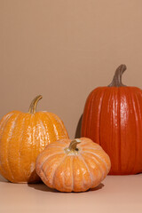 pumpkins on a beige background with space for text