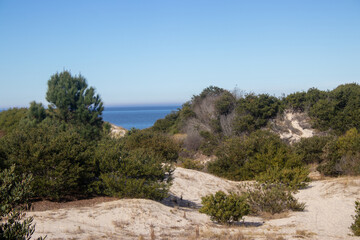 Paisaje entre dunas en la playa