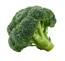 Close-up of a fresh broccoli head (1)