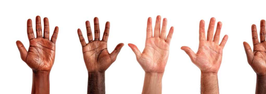 Diverse hands raised in a row