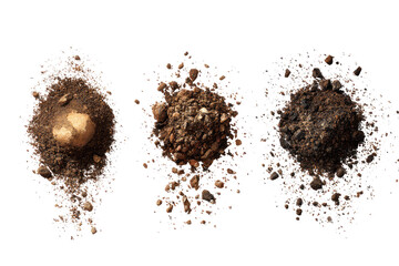 Three mounds of earth, overhead view.  Each mound displays varying textures and colors of soil, with small rocks and organic matter visible