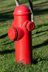 A red hydrant in the park stands out among the greenery. Silent, it is always ready to assist firefighters in firefighting and nature protection emergencies.