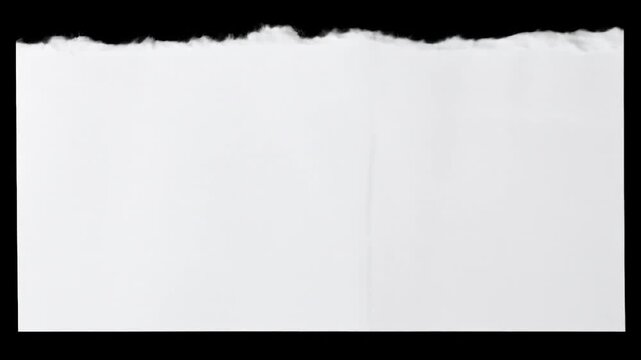 Torn, white piece of paper with ragged edge against black background