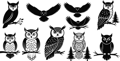 Collection of owl illustrations and silhouettes, detailed bird designs, wildlife vector art, artistic owl patterns, nature animal graphics, creative bird drawings
