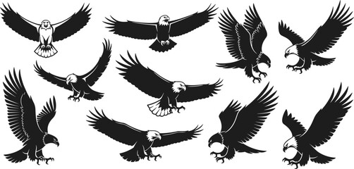 Collection of powerful eagle illustrations, soaring bird designs, majestic wildlife graphics, vector eagle drawings, aggressive bird silhouettes, nature animal art