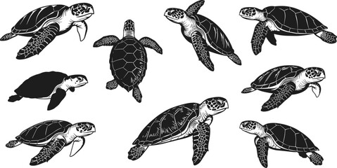 Sea turtle silhouette set, swimming turtle vector illustration, marine animal design, black turtle icons isolated on white background