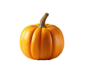 Obraz premium A small, vibrant orange pumpkin, a perfect sphere with ridges. A slender stem emerges from the top. Isolated against a stark black background