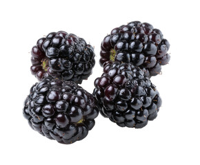 Close-up of four dark-colored blackberries