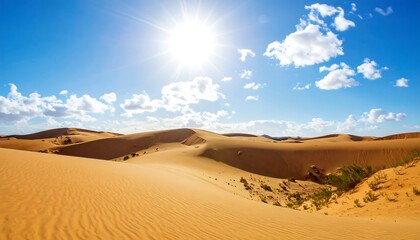 Sunny desert landscape (1)