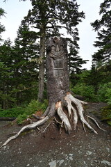totem tree rooted in the forest