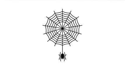 Spider and Web Icon on White Background spider web