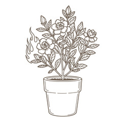 Simple illustration of a flowering plant in a pot with floral and botanical elements