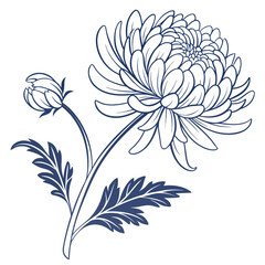 chrysanthemum with leaves