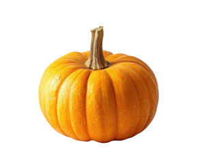 Single, small, orange pumpkin with stem