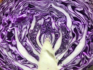 Obraz premium 断面の紫キャベツ / Cross Section of Red Cabbage