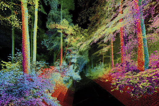 3D scan of a forest path with colorful point cloud data - Powered by Adobe