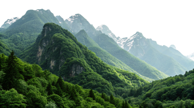 Breathtaking mountain landscape with lush green forest and majestic snowy peaks in tranquil scenery