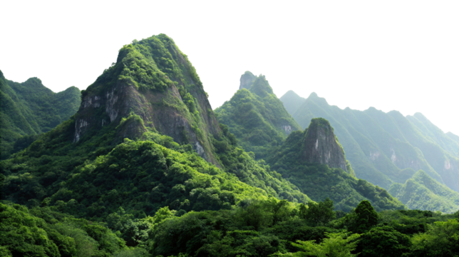 Breathtaking view of lush green mountains with dense forest in misty nature landscape scenery image