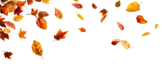 Falling autumn leaves on black background (2)