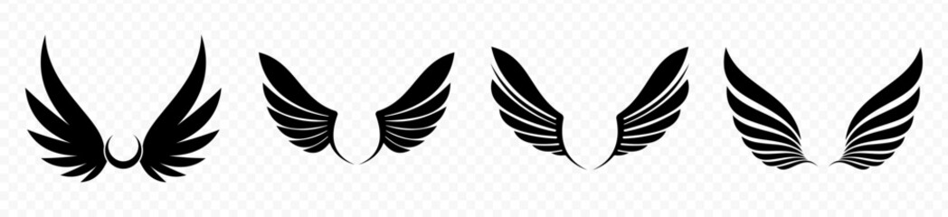 Fototapeta premium wing flying illustration
