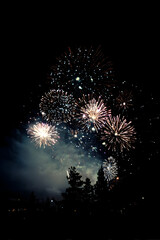 fireworks in the night sky