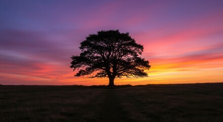Obraz premium A solitary tree stands silhouetted against a vibrant sunset sky, painted in hues of orange, pink, and purple.