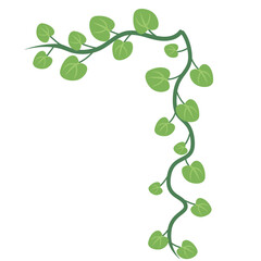 Curved vine with small round leaves and buds. Ideal for nature icons, decorative borders, or botanical compositions.