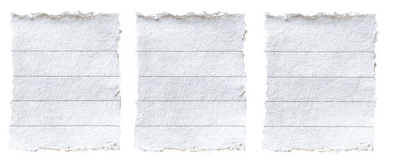 Three torn pieces of lined paper