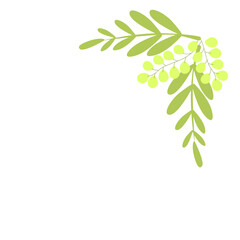 Obraz premium Vertical hanging branch with light green leaves and small round dots, perfect for tropical eco-friendly designs.