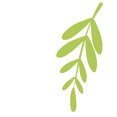 Vertical hanging branch with elongated leaves, decorative tropical and eco-friendly element for jungle design themes.