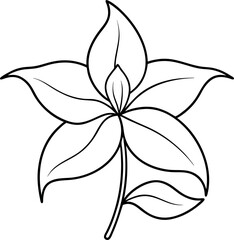 Botanical Line Art Flower with Leaf Vector Illustration
