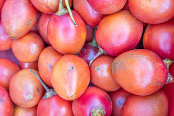 Ecuadorian tree tomatoes, an exotic Andean fruit with vibrant color and unique flavor, symbol of tropical biodiversity, healthy eating, and South America's agricultural richness.