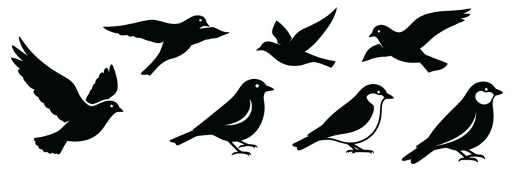 Set of Silhouette Birds Flying and Perched Vector Illustration, Minimalist Design, Elegant Avian Collection
