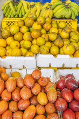 Fresh and colorful fruit stand at a local market with oranges, tree tomatoes, and plantains. Ideal for tropical and Ecuadorian nutrition topics.