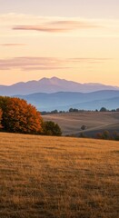 Fototapeta premium Golden Meadow With Autumn Trees And Distant Mountains At Sunset