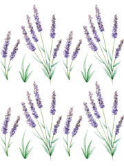 bunch of lavender flowers