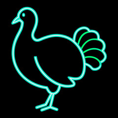Fototapeta premium Stylized neon turkey silhouette on black background