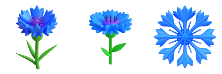 Three Cornflower Blossoms Isolated Against Transparent Background Showing Detailed Petals and Green Stems