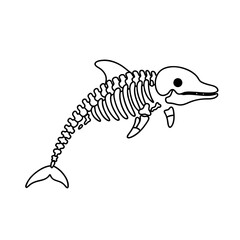 Dolphin Skeleton Illustration Marine Life Anatomy & Scientific Diagram