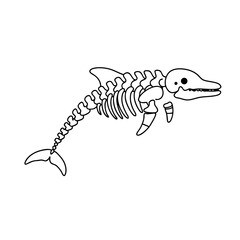 Simplified Line Art Depiction of a Dolphin Skeleton for Educational Purposes and Scientific Study