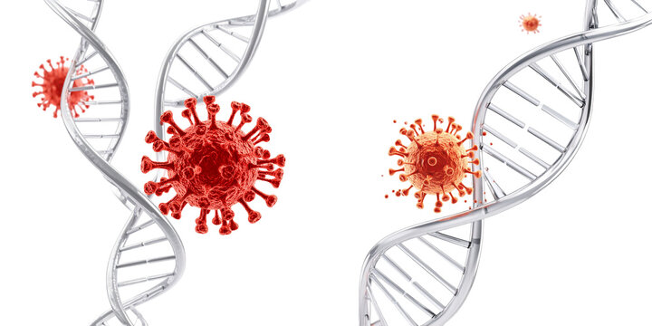 Red Viruses Interacting With Double Helix DNA Structure On Transparent Background