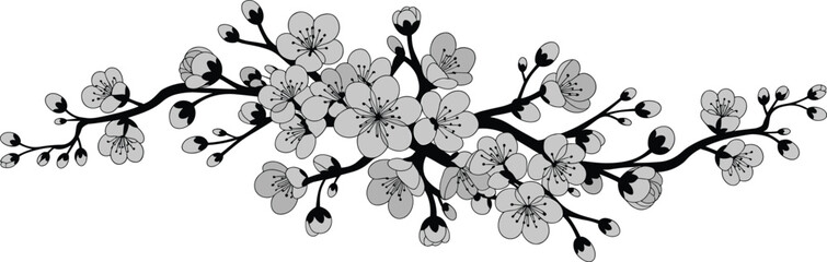 Hand-drawn cherry blossom branch illustration, black and white floral design, blooming sakura flowers, spring nature, delicate petals, botanical art, elegant flower branch vector, seasonal beauty